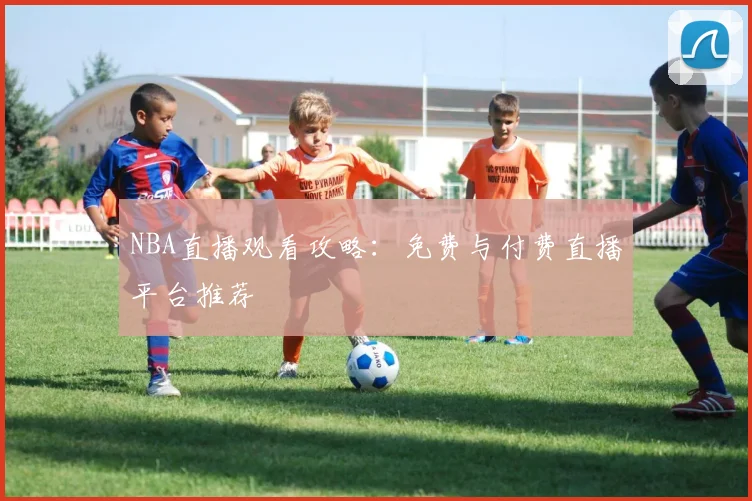 NBA直播观看攻略：免费与付费直播平台推荐